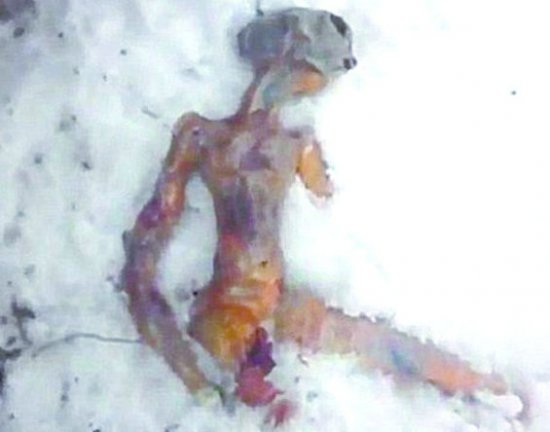 DSC0000.jpg
