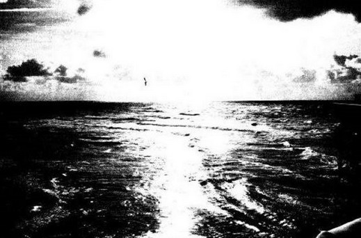 DSC0000.jpg