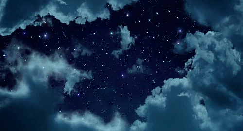 DSC0005.gif