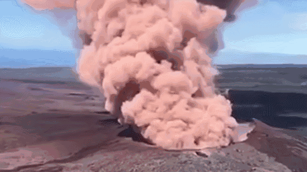 DSC0002.gif