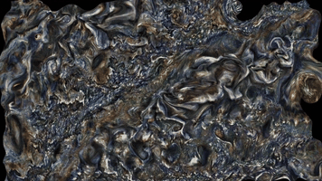 DSC0000.gif