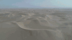 DSC00018.gif