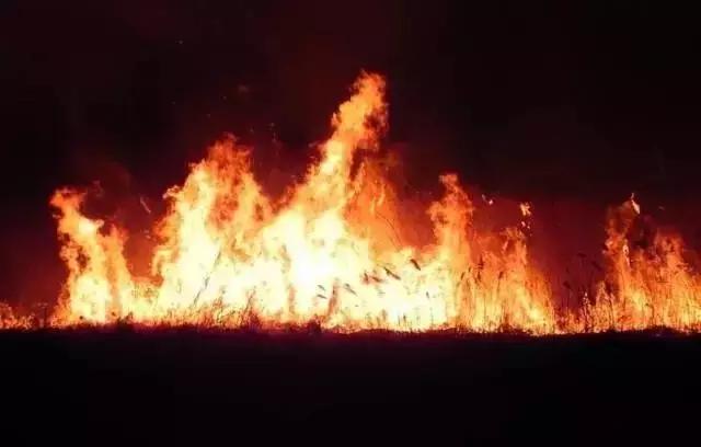 把地球上的水抽干会怎样？木卫二水资源是地球两倍-6.jpg